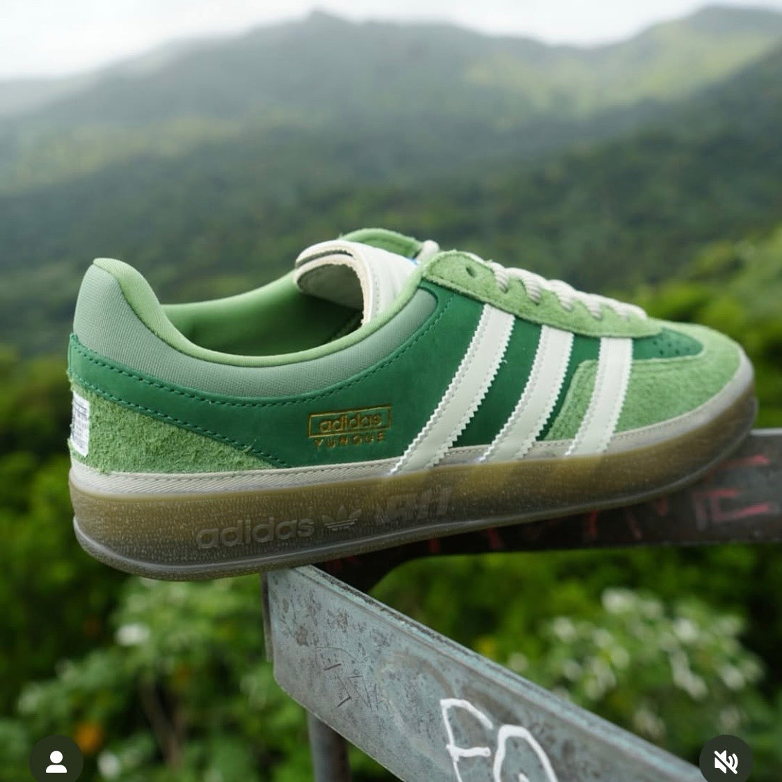 GAZELLE YUNQUE