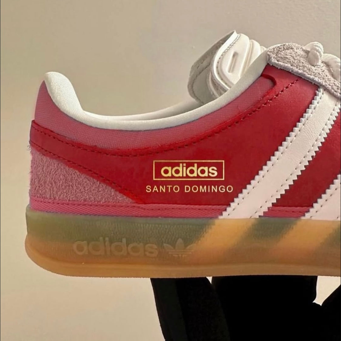 GAZELLE SANTO DOMINGO